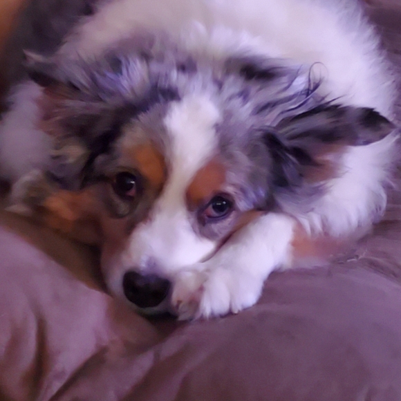 ❀✿＊*HI!&WELCOME to MY Closet❀✿＊ - Picture 3 of 8